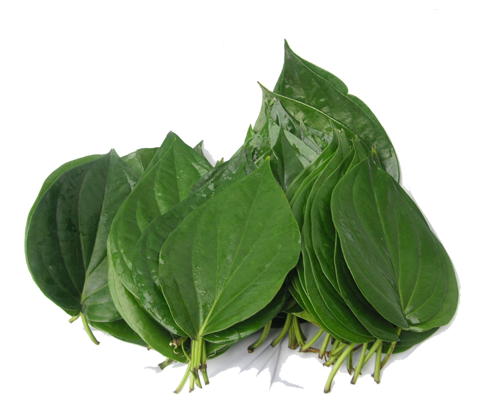 Bitter Leaf